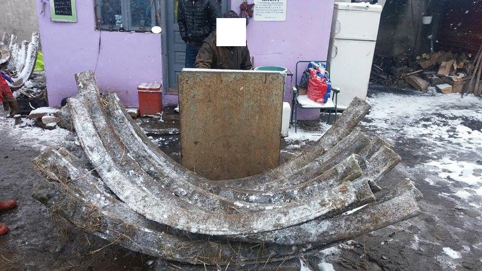 16729816_1403055546417987_1652526683_n