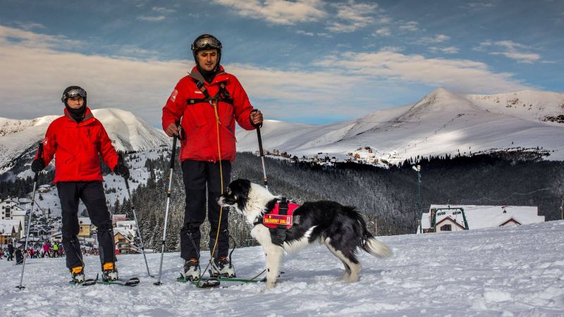 Recco şi Carlos Taşcău de la Salvamont Gorj participă la Stagiul Naţional de Formare al Unităţilor Canine de Intervenţie la Avalanşă