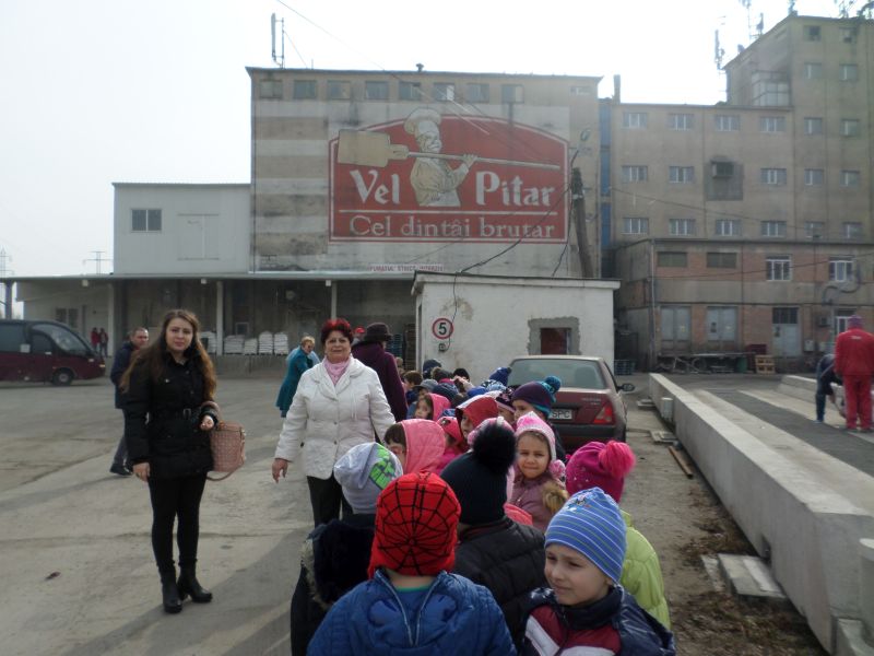 Vizită de documentare “drumul pâinii”