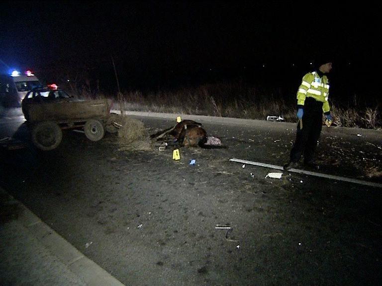 Accident la Târgu-Jiu, după ce un bărbat și-a lăsat calul nesupravegheat în fața unui bar