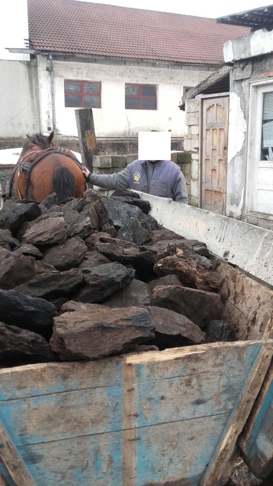 Furt cu căruța la Rovinari