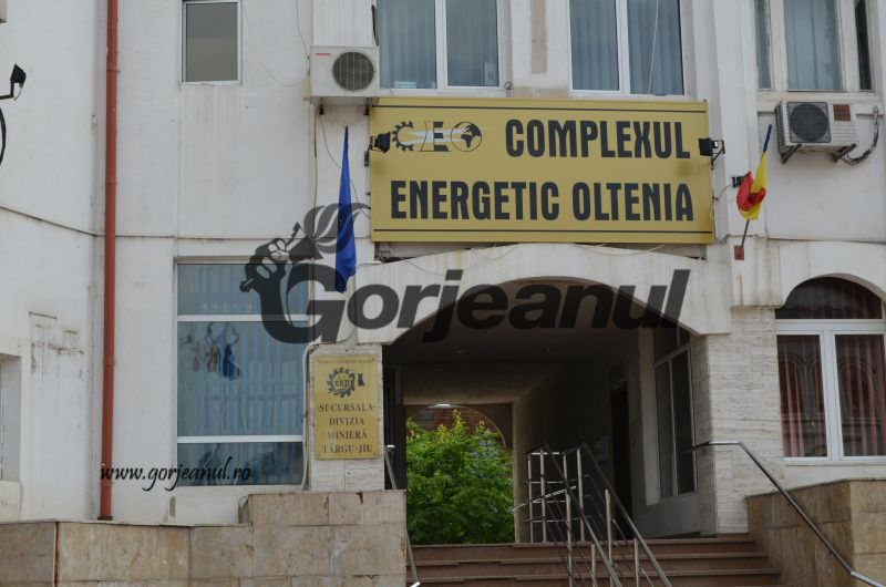Discuții contradictorii pe regulamentul de negociere a CCM, în Comisia Mixtă a CEO