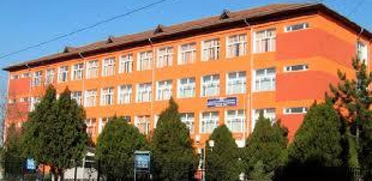 Furt la colegiul din Rovinari