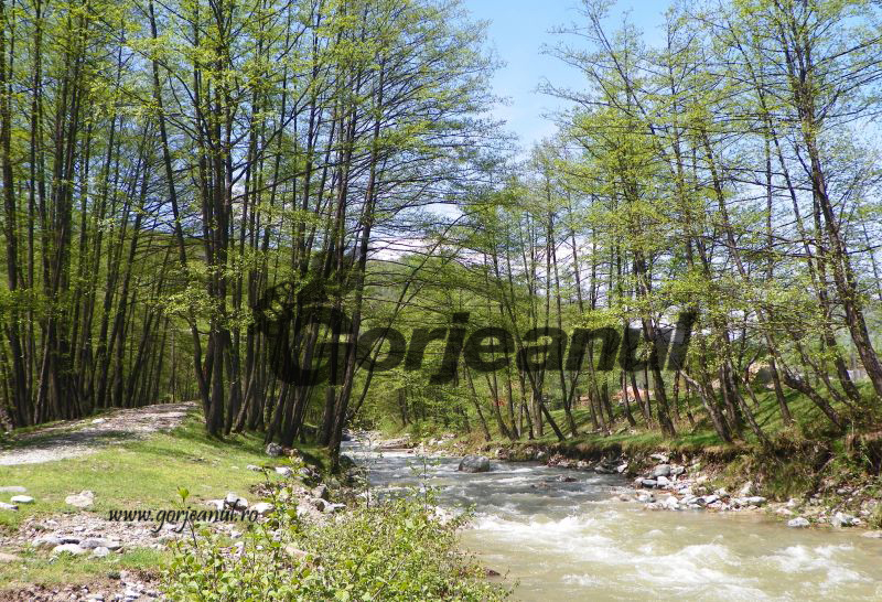 Cursurile de apă, monitorizate