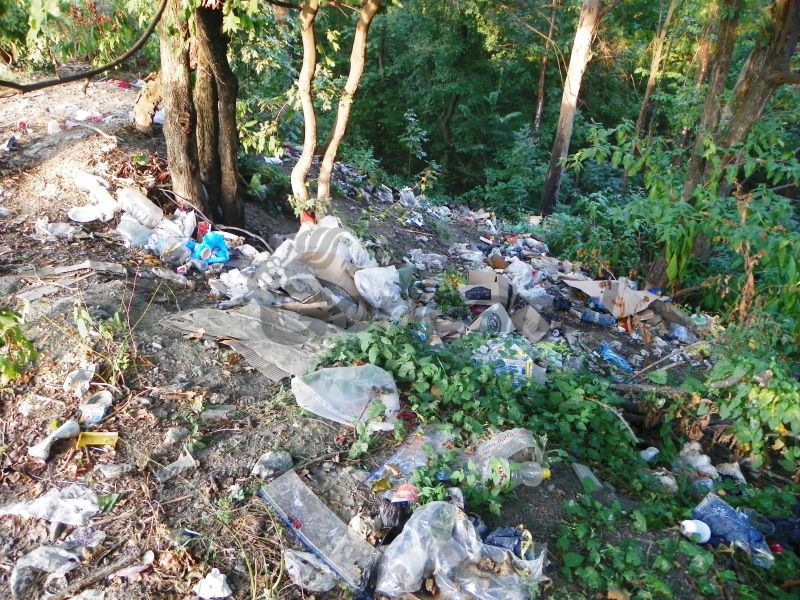 „Curățăm România”, în luna aprilie