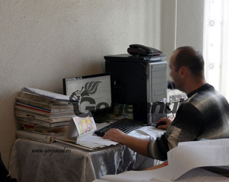 Noi salariaţi la Direcţia Judeţeană de Statistică