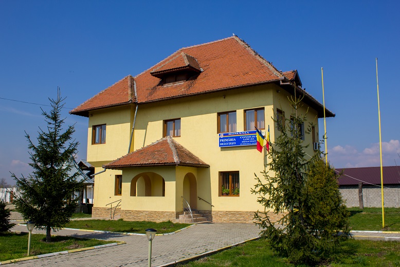 Posturi vacante la Primăriile Drăguţeşti şi Albeni