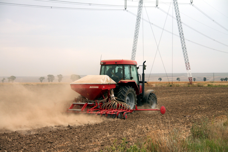 Agricultura pe înțelesul tuturor – Graficul lucrărilor agricole în luna martie