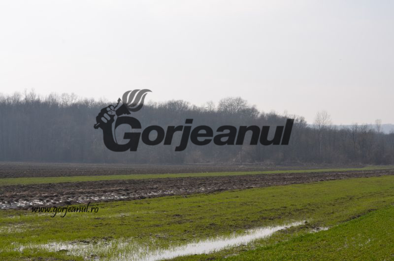 Se dau bani pentru comasarea terenurilor agricultorilor din judeţ