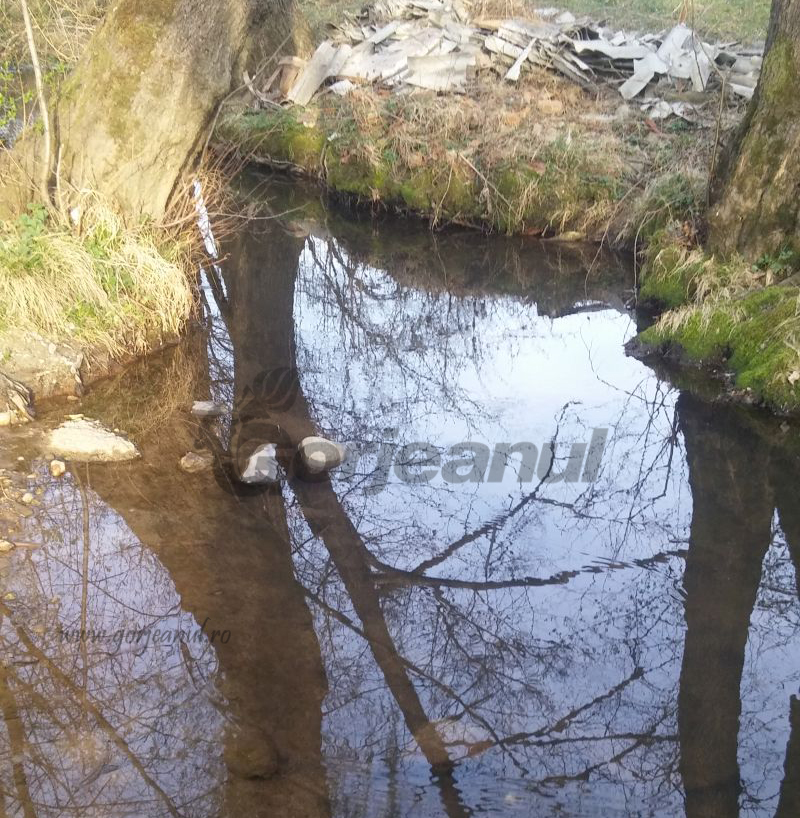 Copil înecat la Stănești