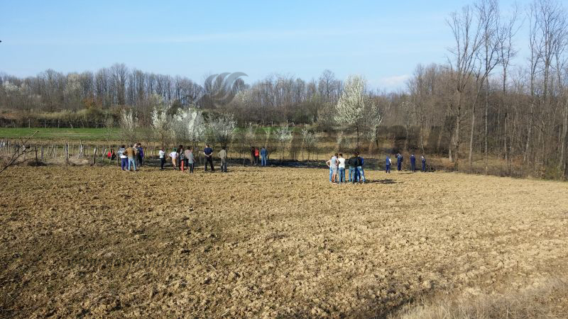 Mort în urma unui incendiu de vegetație