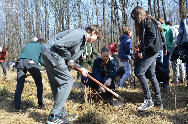 Prima de împădurire, fără succes la Gorj! O viitoare sesiune, deschisă la finele anului