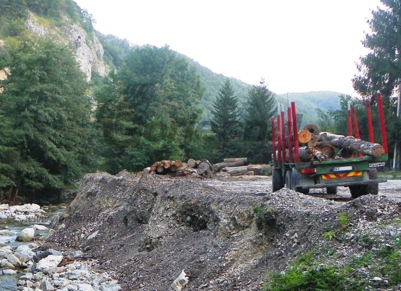 Amenzi de 73.000 de lei, din partea comisarilor de mediu