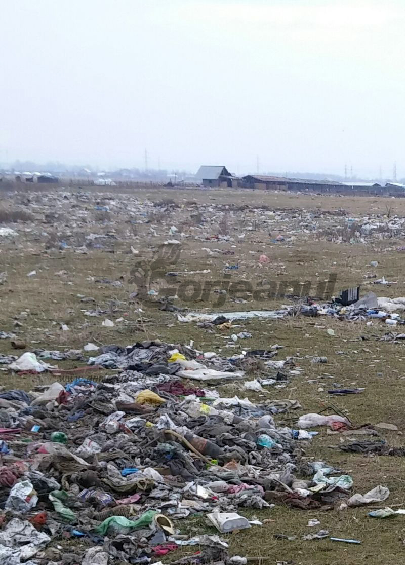 Groapă de gunoi pe un teren de la marginea orașului