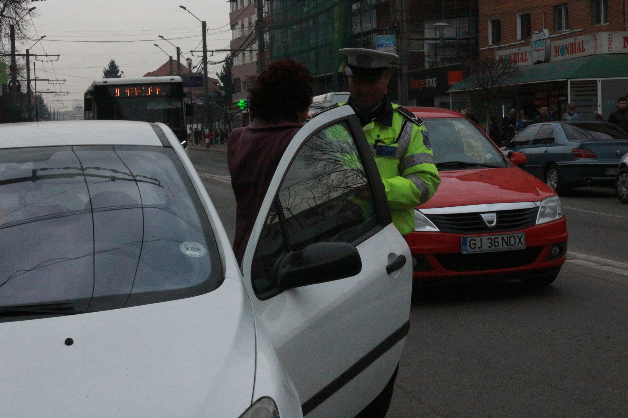 politist local, flori