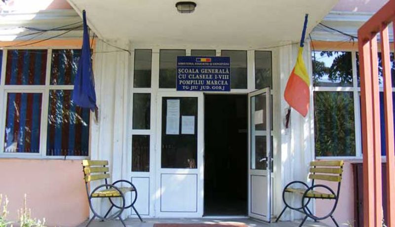 Anchetă IȘJ, pentru elevii cu simptome de enterocolită