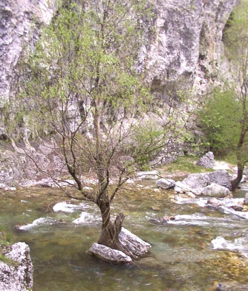 Locuri din ţara lui Brâncuşi – Prin lumea de piatră a Sohodolului