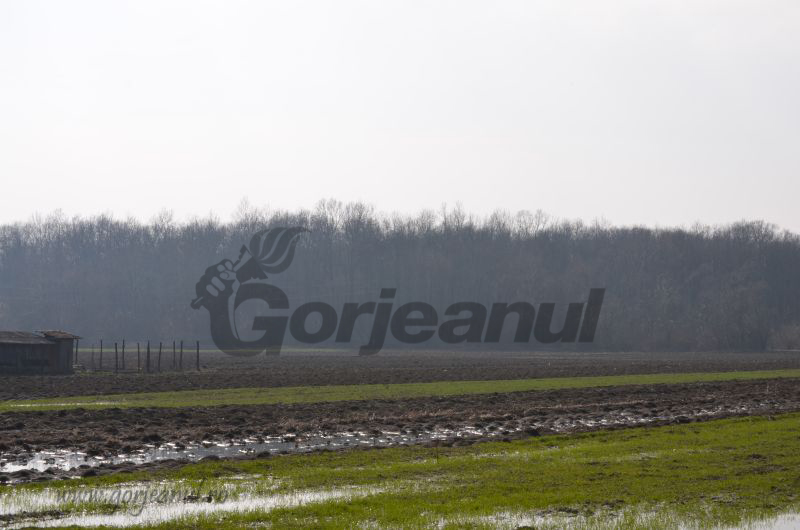 În doar 20 de zile / Peste 3.600 de cereri unice de plată, depuse la APIA Gorj