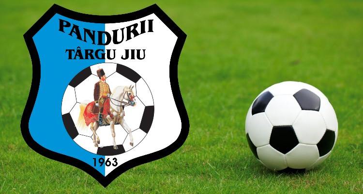 De câţi bani are nevoie Pandurii?