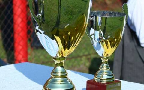 Se ştiu sferturile Cupei