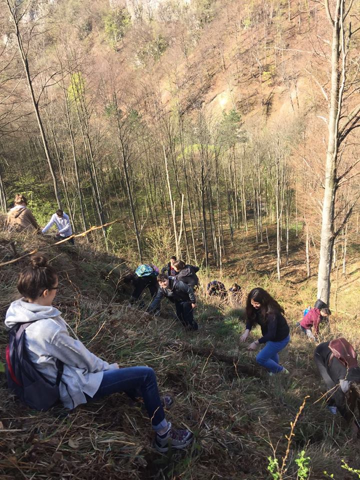 17760352_1283217628400571_1168220346_n