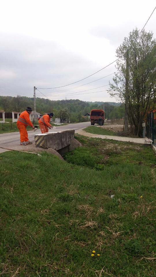Drumurile naționale din Gorj, supuse igienizării