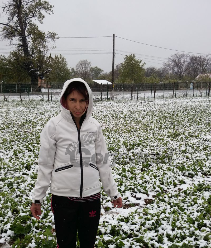 Culturile de căpșuni, compromise