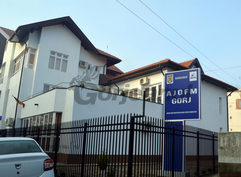 Sute de şomeri gorjeni înregistrează debite de peste 320.000 de lei, la AJOFM