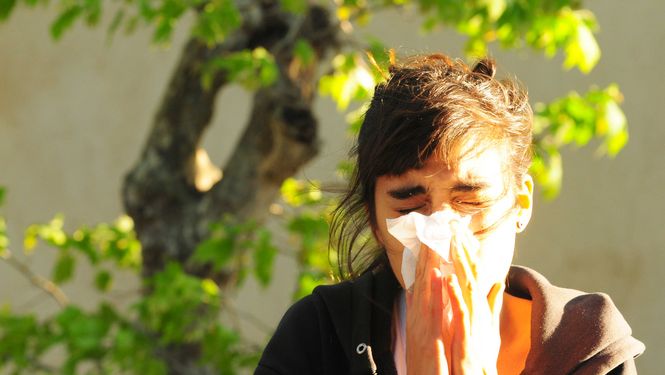 Alergiile de sezon dau bătăi de cap gorjenilor
