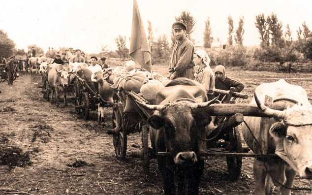 Drum prin memorie-(1962-1971) – Rolul securiștilor în colectivizare!