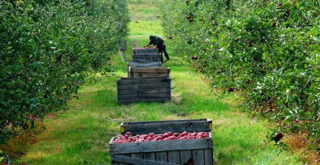 Noi sesiuni de proiecte, demarate prin OJFIR Gorj