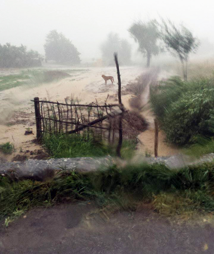 Cum combat autoritățile din Dănești codul galben de precipitații? -Permit desființarea unui canal de evacuare a apelor pluviale