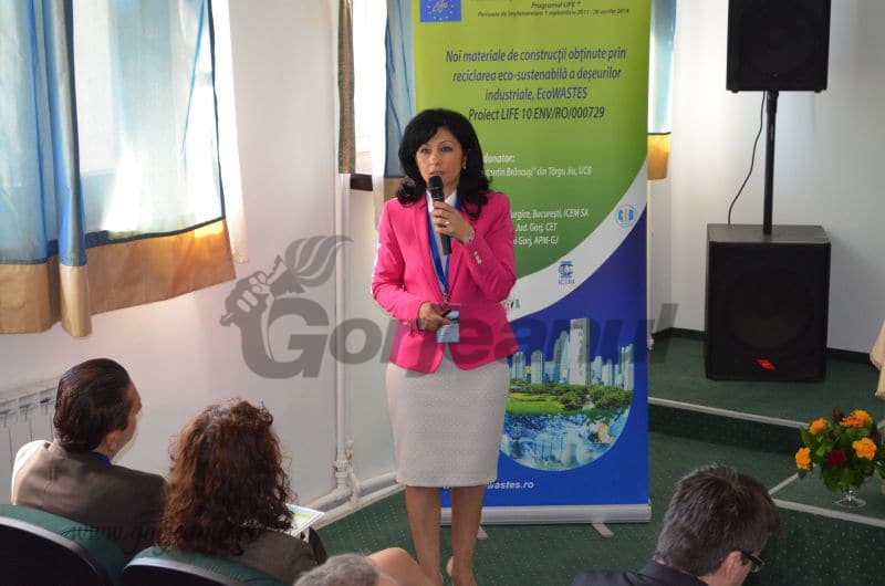 Procedura de demitere a rectorului UCB, oprită de contestație! Raportul Luminiței Popescu, invalidat de Senat