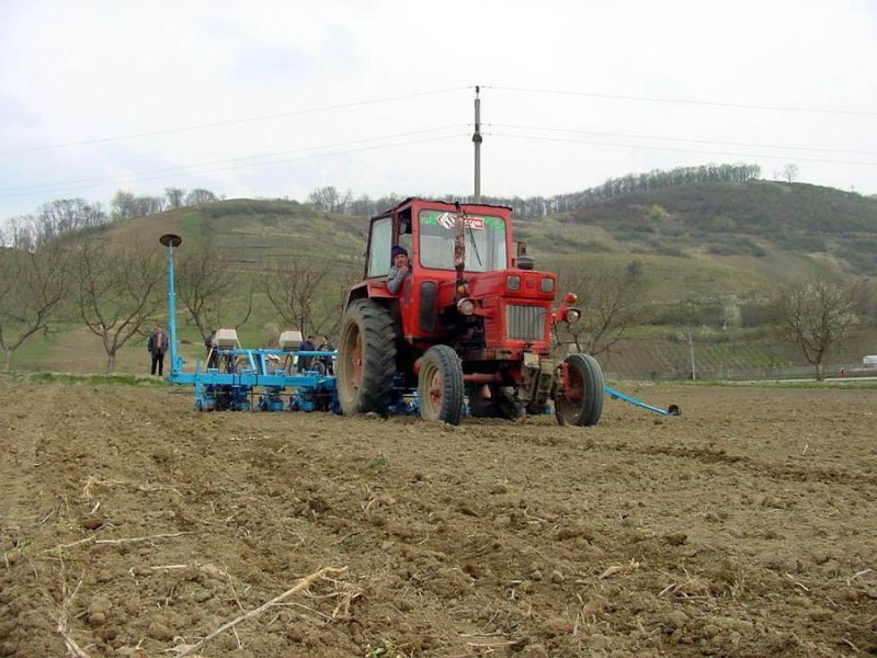 Agricultura pe înțelesul tuturor – Graficul lucrărilor agricole în luna mai