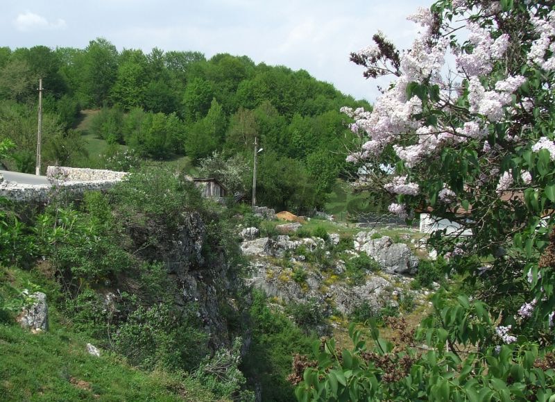 Și în acest an / Sărbătoarea liliacului