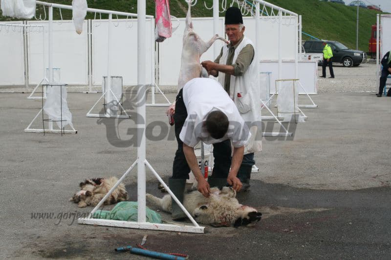 Medicii recomandă achiziționarea mieilor de peste 10 kilograme