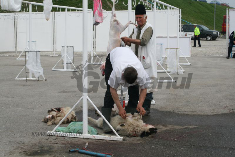 Târgul de miei se va deschide luni, la Târgu-Jiu