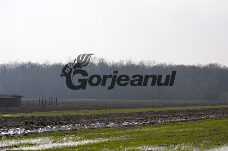 Peste 10.000 de agricultori din Gorj au intrat în sistem cu cererile unice de plată din campania 2017