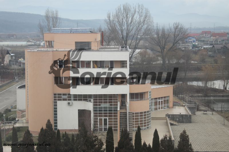 Săptămâna voluntariatului, sărbătorită de studenții UCB