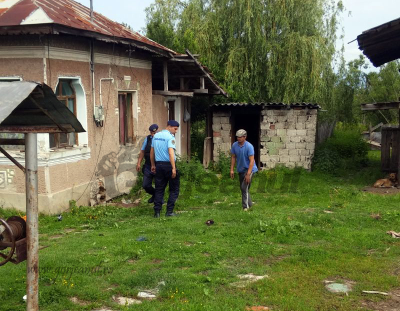 Șarpe căutat de jandarmi și pompieri! A dispărut!