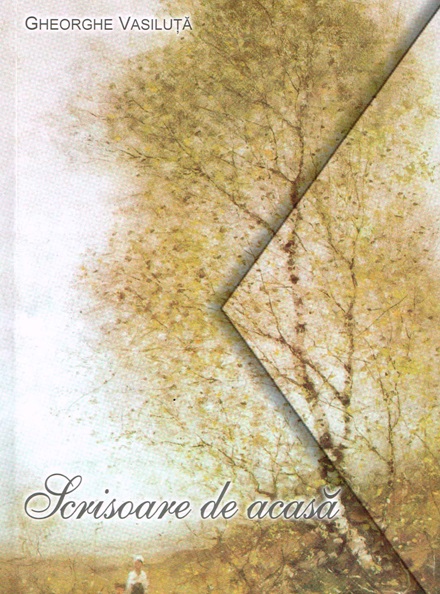 Metascrisoarea de acasă în opt transversalii