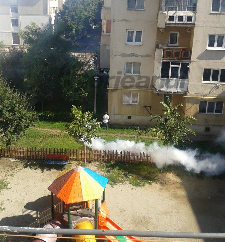 Primăria Târgu-Jiu dă startul dezinsecţiei!