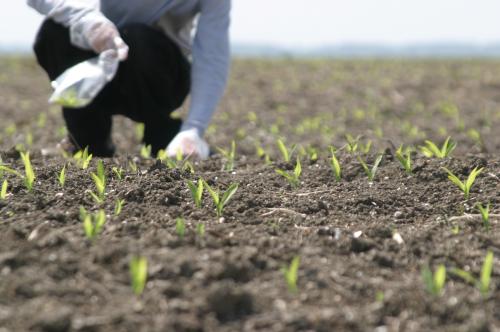 Agricultura pe înțelesul tuturor / Fermieri, purtați-vă prietenos cu natura