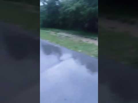 Video: Cum se luptă localnicii din Lihulești cu apele!