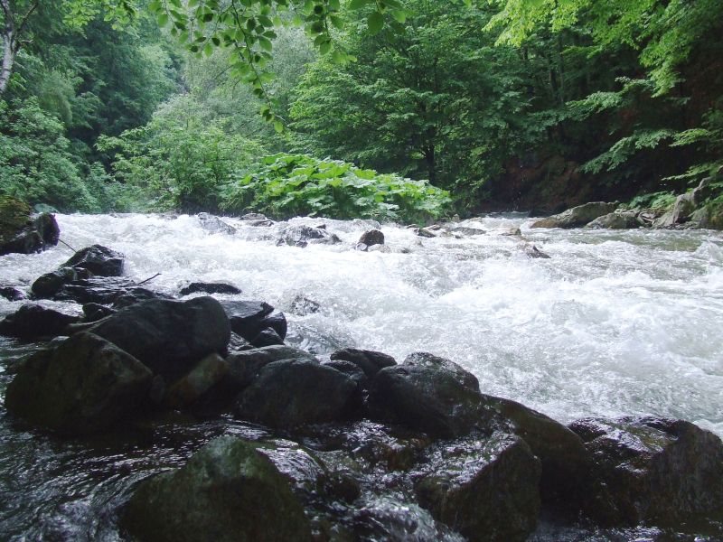 Locuri din țara lui Brâncuși – Lumea de piatră a Jiului de Sus (I)