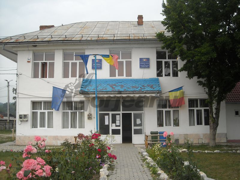 Concurs pe un post vacant la Primăria Bîlteni