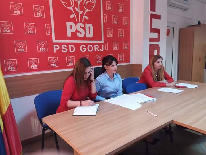 Liga Tinerilor Profesori Social-Democrați dă roade la Gorj