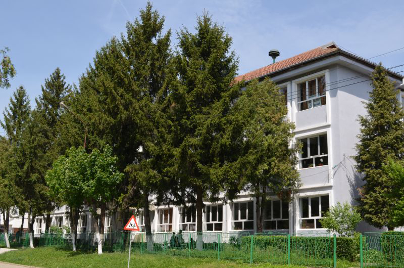 Școala nr.2, din Motru, naște olimpici: Antonia și Bogdan, din eprubeta educațională, în rândul premianților țării