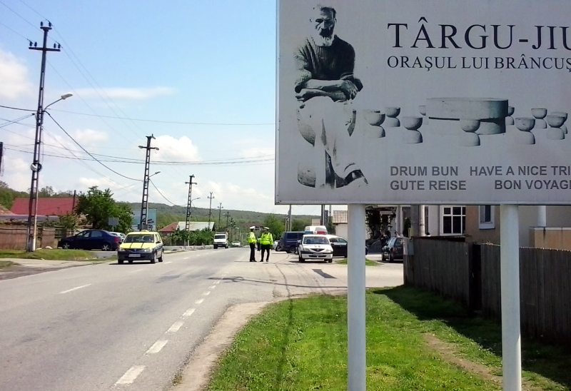 Stăm acasă! Au scăzut vânzările de roviniete