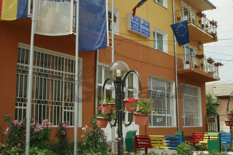 Proiect pentru romii din Țînțăreni